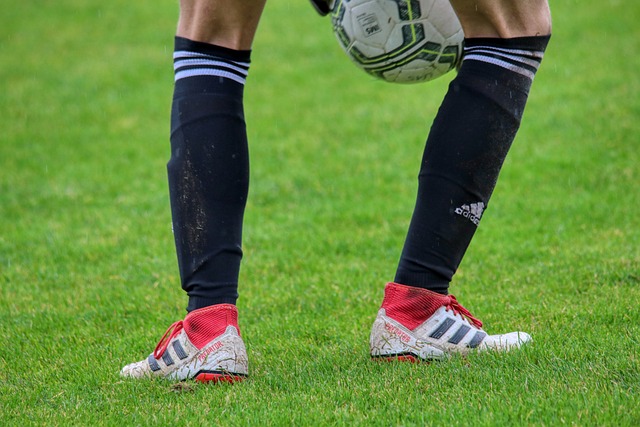 也名列其中 也名列其中