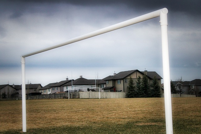 尽管两支球 尽管两支球