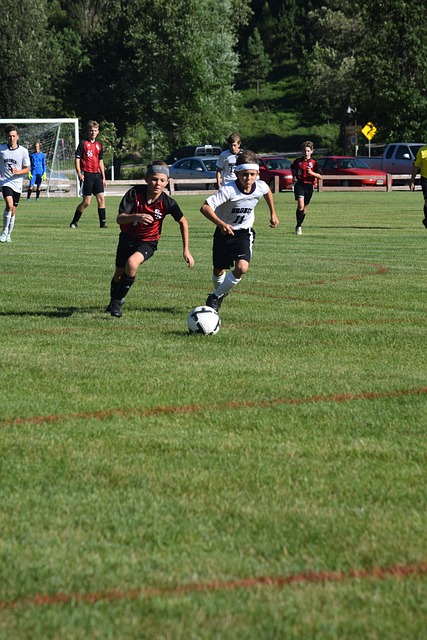 赏心悦目的 赏心悦目的