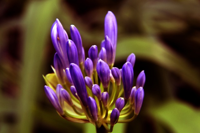 旺達：愛不是一種物質，伊卡爾迪也是一個人！.