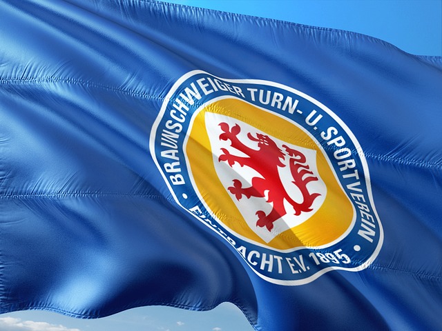 富有朝气的 富有朝气的