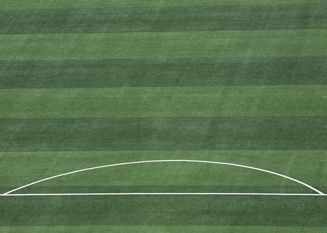 慎把握场上 慎把握场上