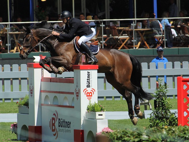 本篇文章將 本篇文章將