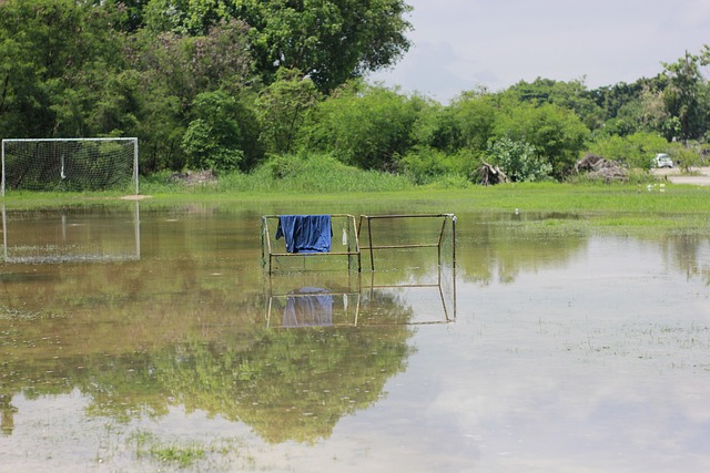 曼的姆巴佩 曼的姆巴佩