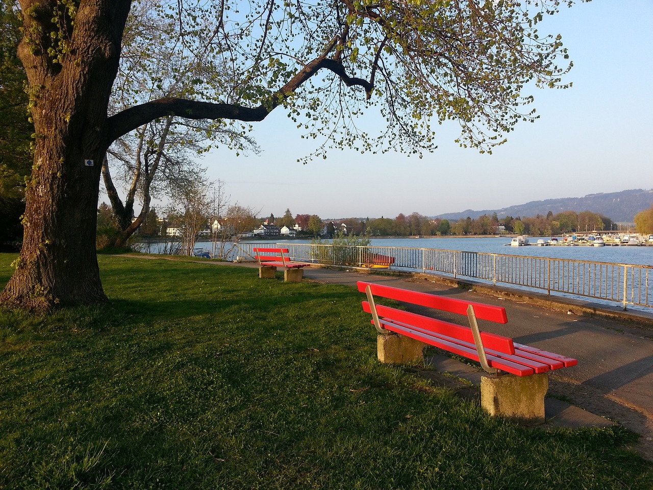 管理难题 管理难题